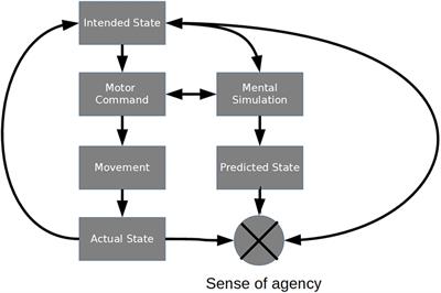 Individual Differences in Sensitivity to Visuomotor Discrepancies